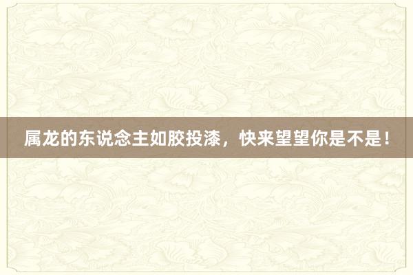 属龙的东说念主如胶投漆，快来望望你是不是！